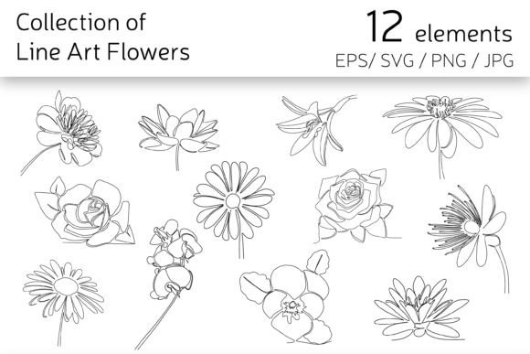 Download Line Art Flowers - Premium Resources