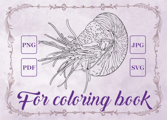 Download Nautilus Mollusk Adult Coloring Book - Mollusk Collection