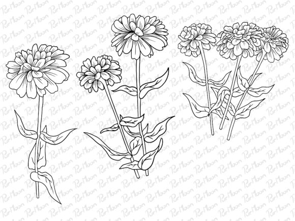 Download Line Art Flowers Arrangements - Premium Bundle